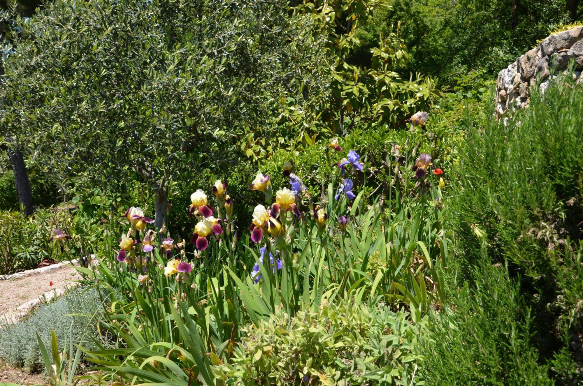 La Bastide Des Pins Bed and Breakfast Vence Εξωτερικό φωτογραφία