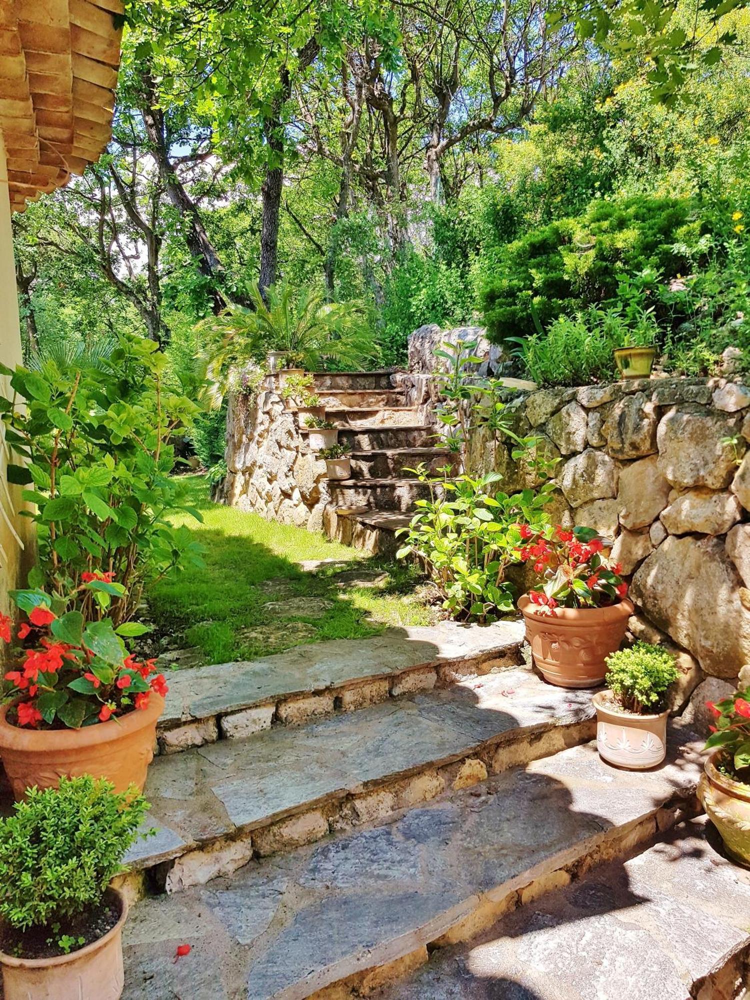 La Bastide Des Pins Bed and Breakfast Vence Εξωτερικό φωτογραφία